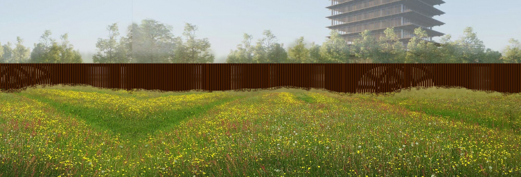 Возрождение лесов и полей