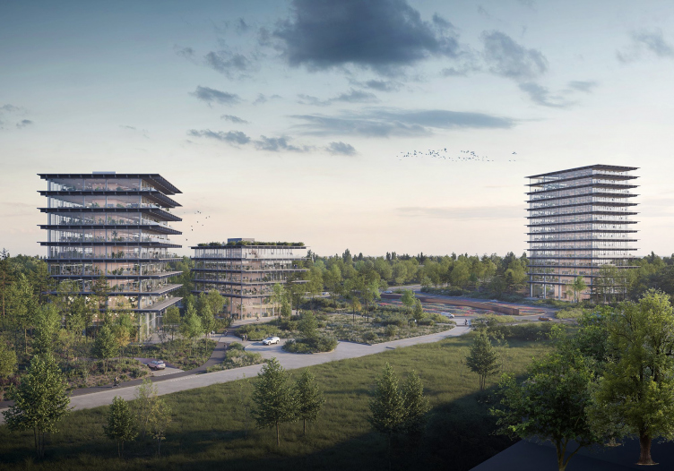 Возрождение лесов и полей