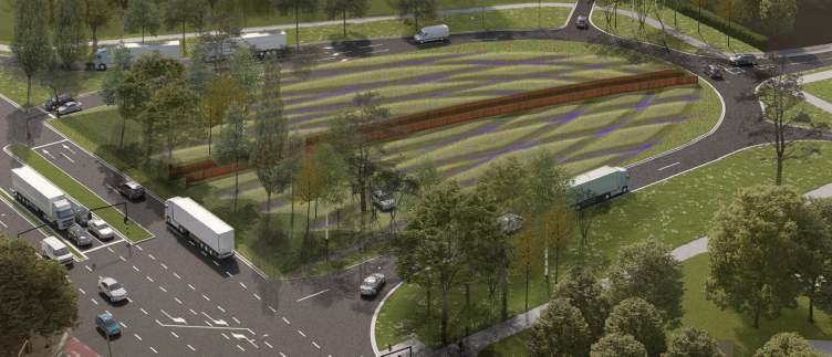 Возрождение лесов и полей