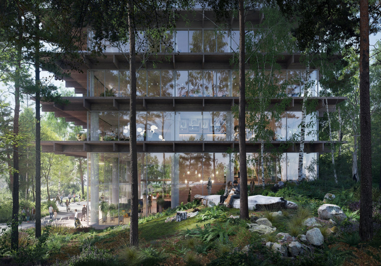 Возрождение лесов и полей