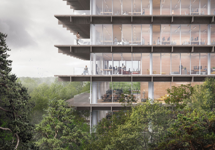 Возрождение лесов и полей