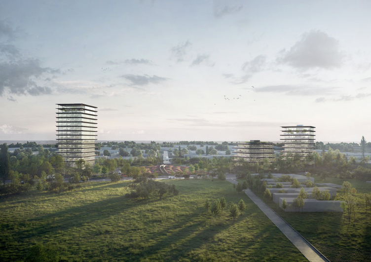 Возрождение лесов и полей