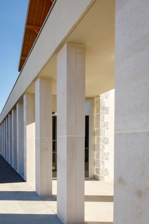 Живое сердце