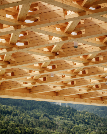 Живое сердце