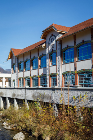 Живое сердце