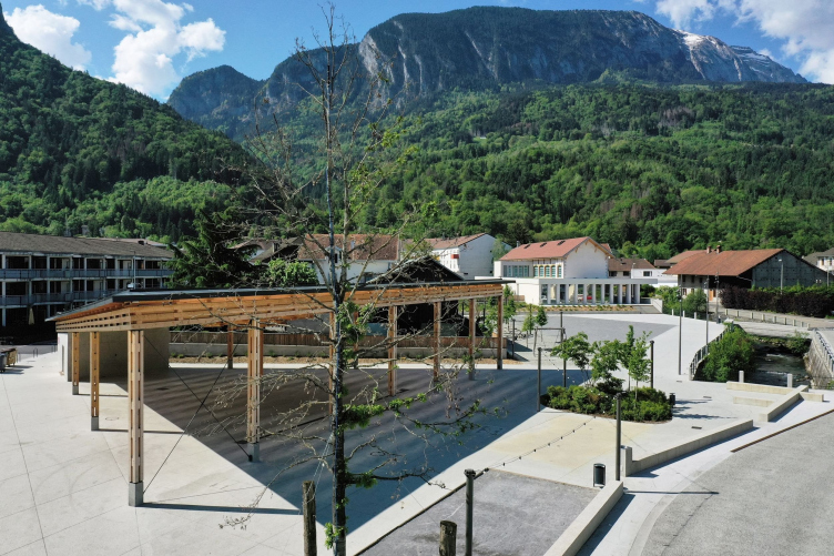 Живое сердце