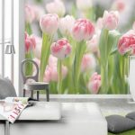 Дизайн стен — современные идеи оформления