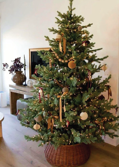 НОВЫЙ 2025 ГОД :