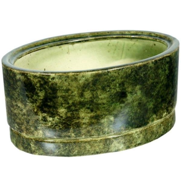 Кактусы: что приносят в дом и что символизируют&nbsp;&mdash; полный разбор мифов и примет