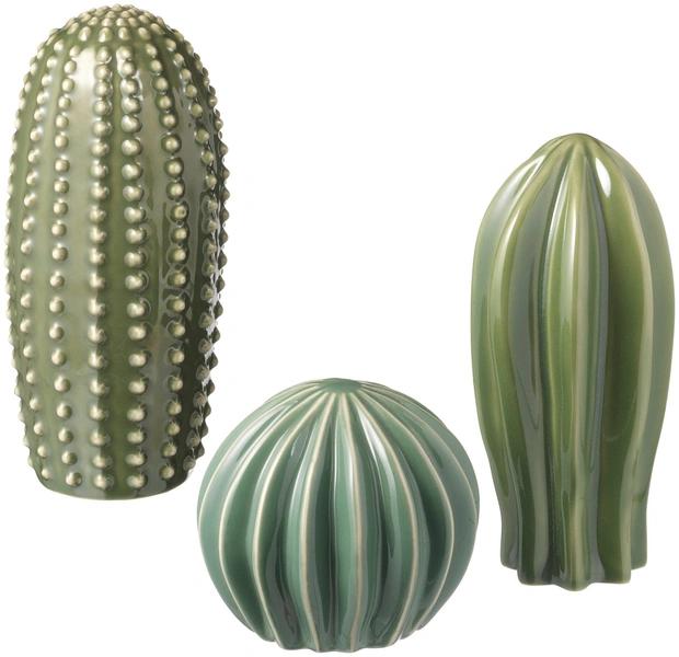 Кактусы: что приносят в дом и что символизируют&nbsp;&mdash; полный разбор мифов и примет